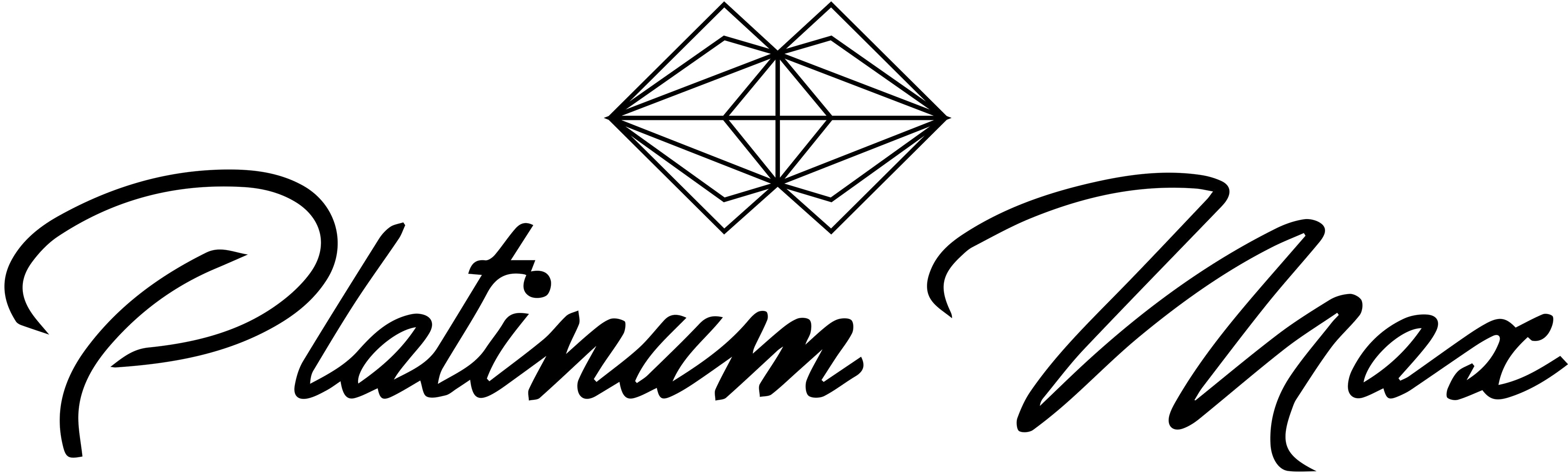 PlatinumMax